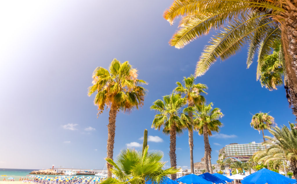 Die 10 unglaublichsten Dinge, die man auf Gran Canaria unternehmen und sehen sollte